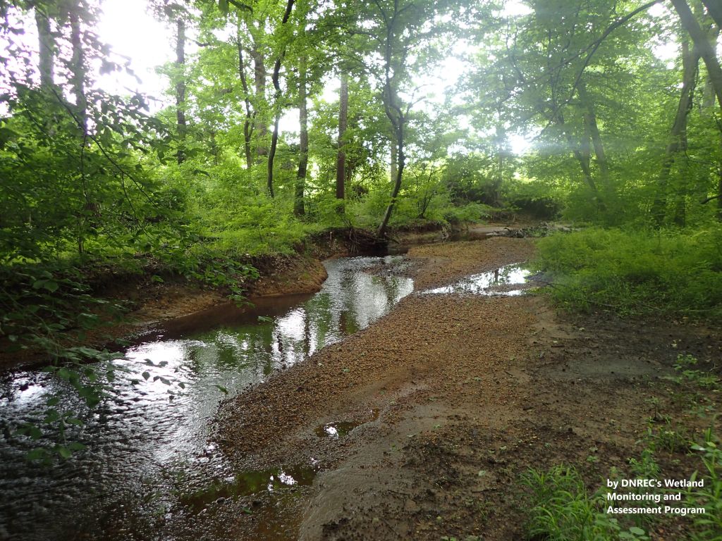 Duane-Loveland_Brecks-Mil-on-Brandywine